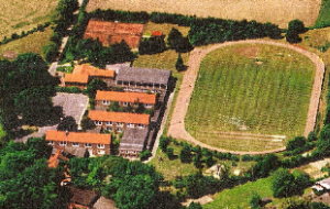 Sportplatz und Schule von oben