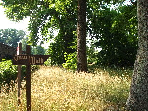 Zum Wald-Wegweiser